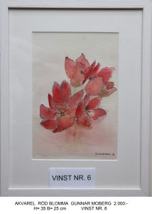 VINST NR. 6