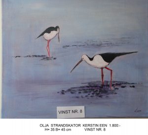 VINST NR. 8