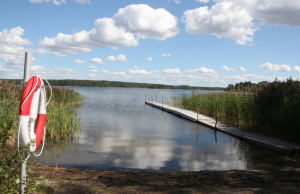 Skärmklipp 4