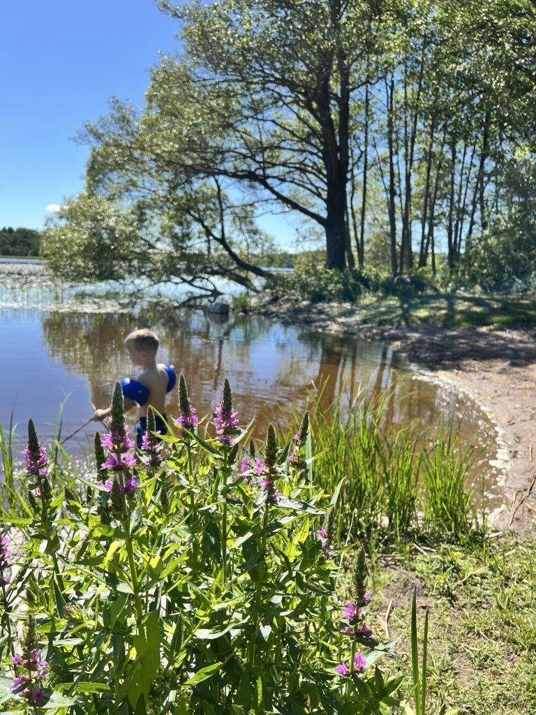 Kullabadet