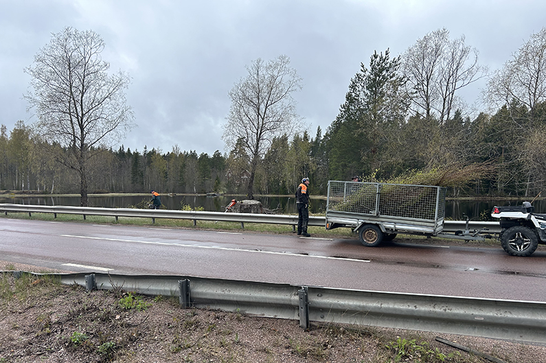 Lillaholmen Gubbarroj