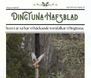 Dingtuna Hafsblad nummer 3 2025