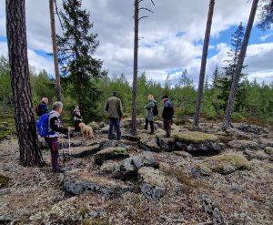 Uppe På Kvarnstensberget