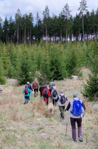 Vandring mot Kvarnstensberget