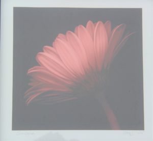 Bild11