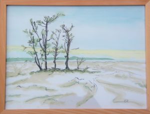 Bild9