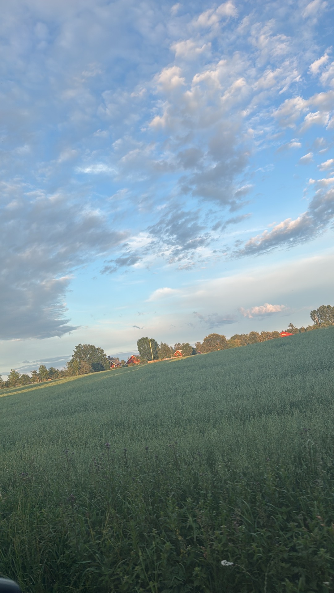 Bakgrundsbild