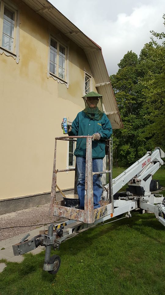 Olov Söderkvist fick slåss med getingar, Olov vann.