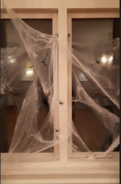 Bild5