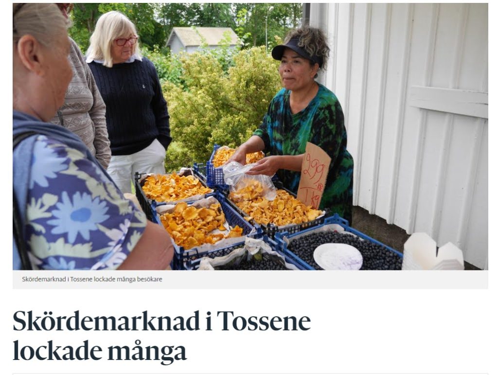Skärmbild 2023 09 04 095140