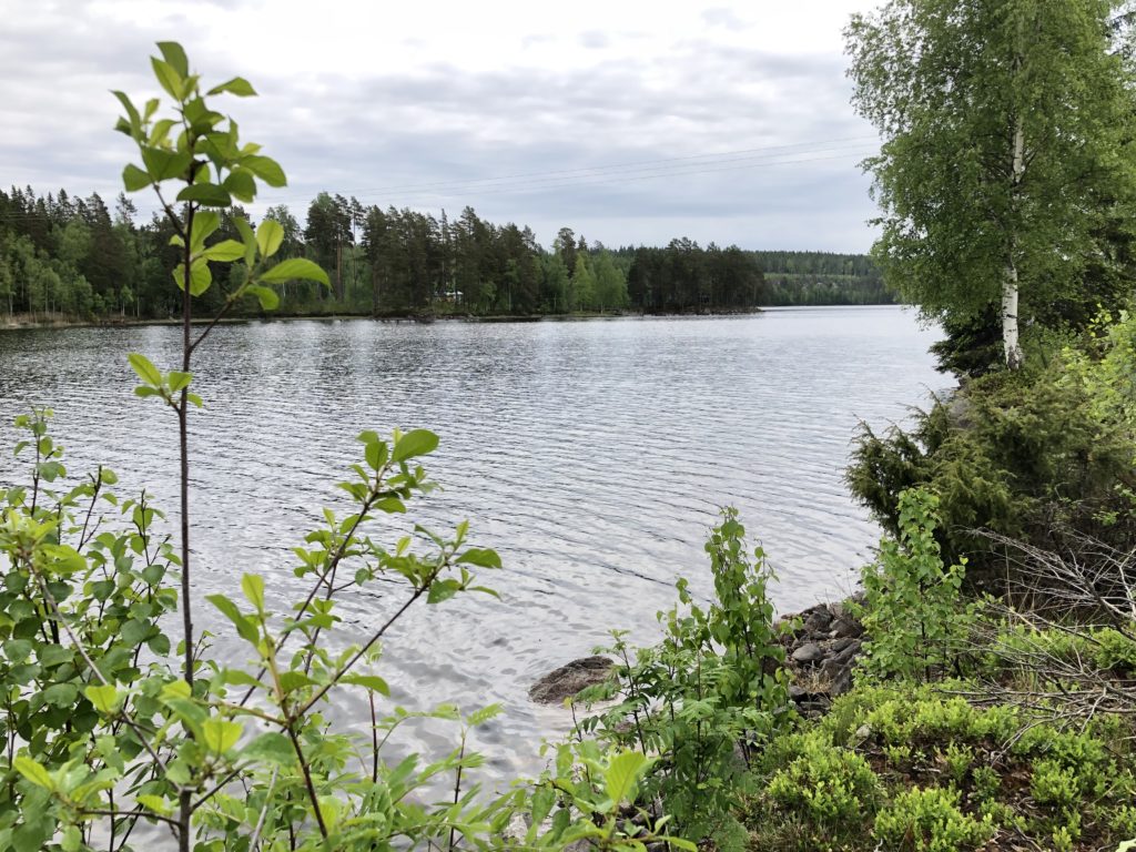 Gullplatshagen