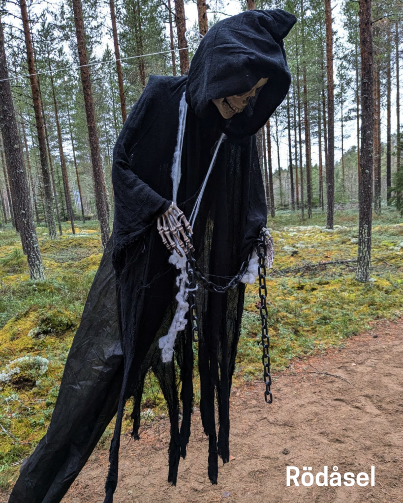 Rödåsel
